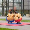 Sumo Worstelen Sumo Worstelen