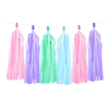 Pastel tassel slinger