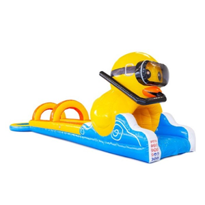 Buikschuifbaan Duck World