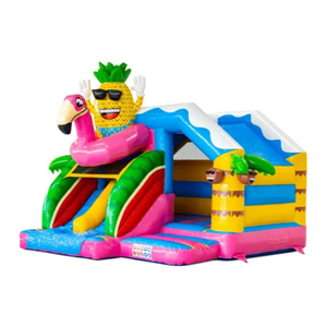 Springkussen Combi Flamingo Double Slide