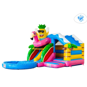 Springkussen Flamingo met zwembad