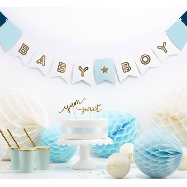 Baby Boy Banner